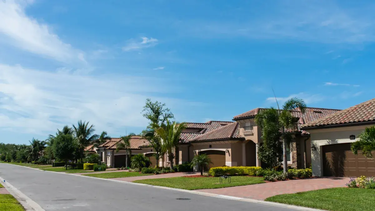 Suburban Florida street lined with single-family homes and palm trees